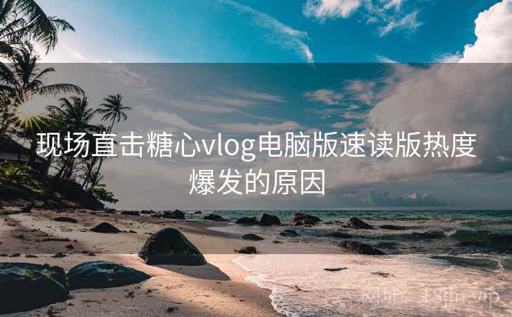 现场直击糖心vlog电脑版速读版热度爆发的原因