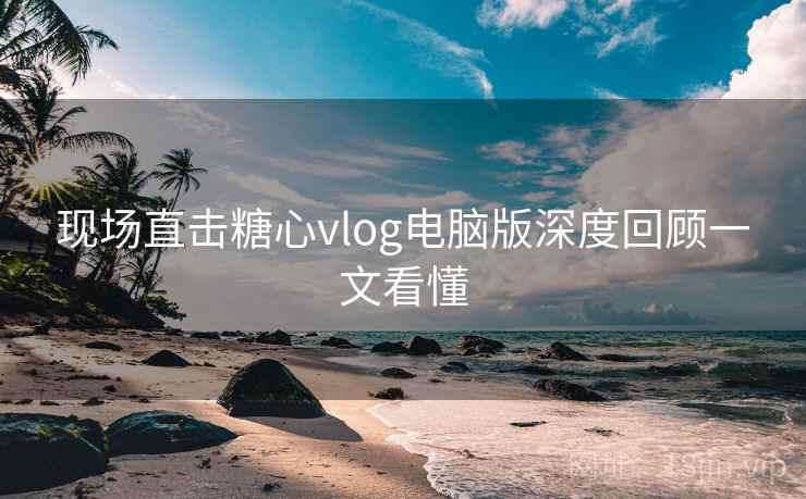 现场直击糖心vlog电脑版深度回顾一文看懂  第1张