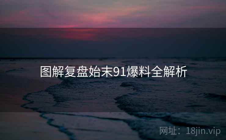 图解复盘始末91爆料全解析