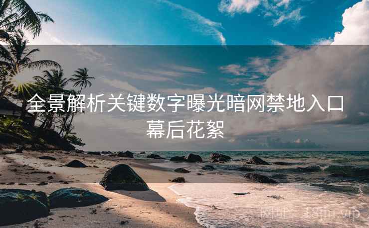 全景解析关键数字曝光暗网禁地入口幕后花絮  第2张