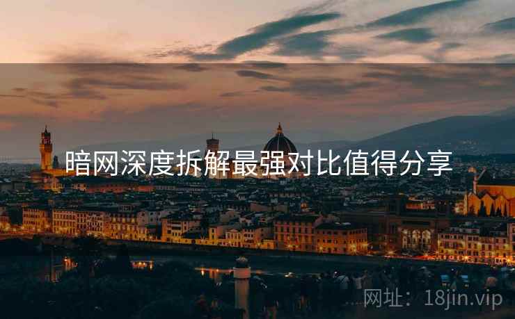 暗网深度拆解最强对比值得分享  第1张