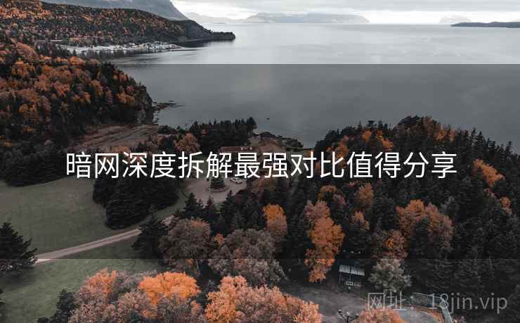 暗网深度拆解最强对比值得分享  第2张