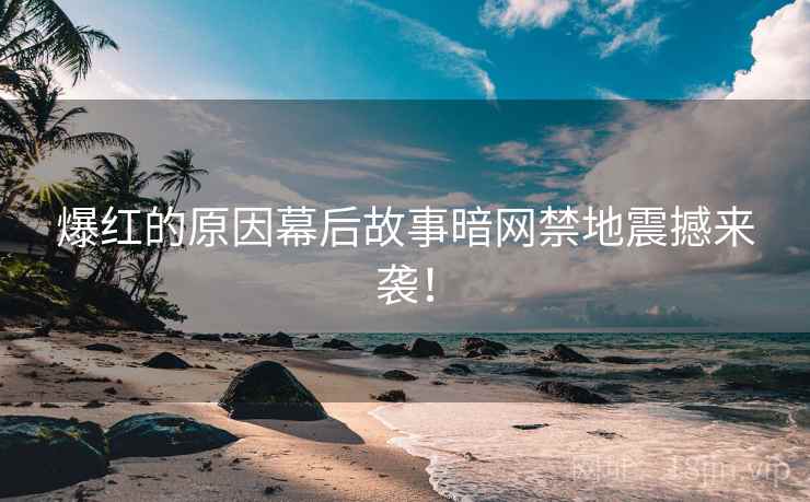 爆红的原因幕后故事暗网禁地震撼来袭！  第1张