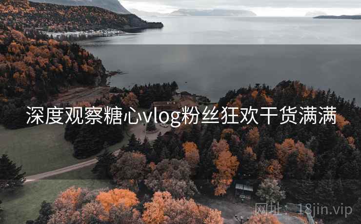 深度观察糖心vlog粉丝狂欢干货满满  第1张