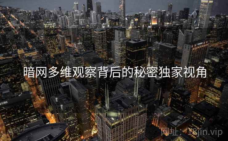 暗网多维观察背后的秘密独家视角  第2张