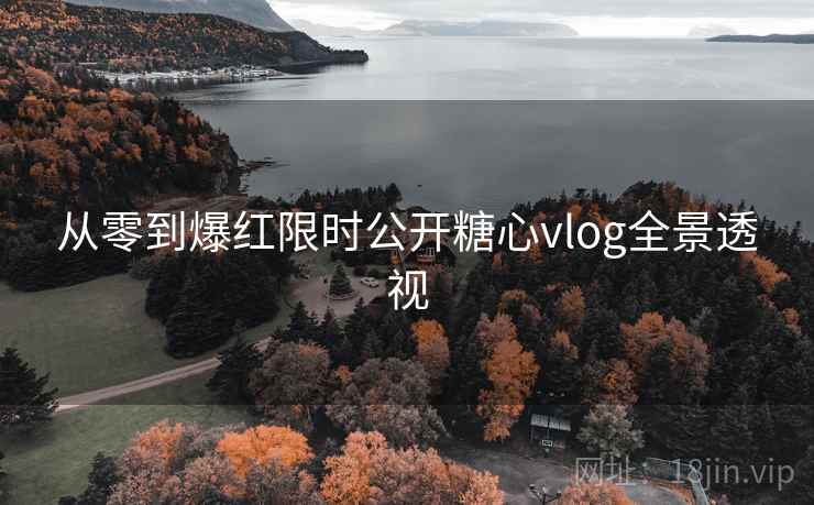 从零到爆红限时公开糖心vlog全景透视