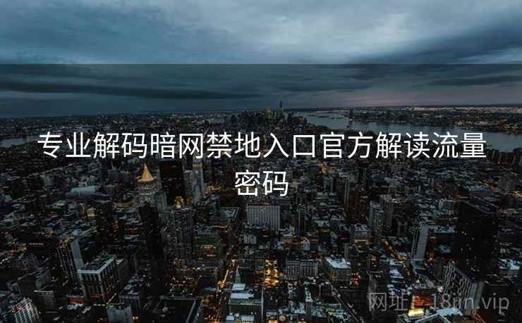 专业解码暗网禁地入口官方解读流量密码