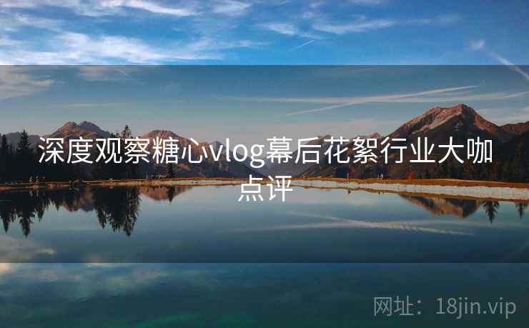 深度观察糖心vlog幕后花絮行业大咖点评