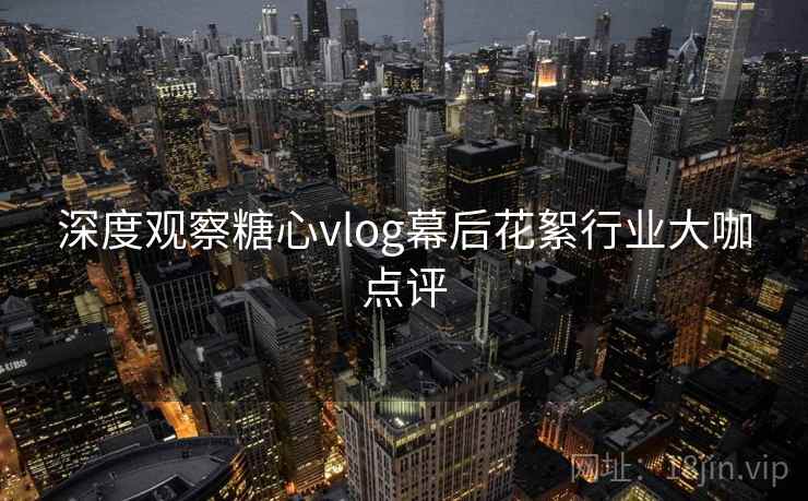 深度观察糖心vlog幕后花絮行业大咖点评