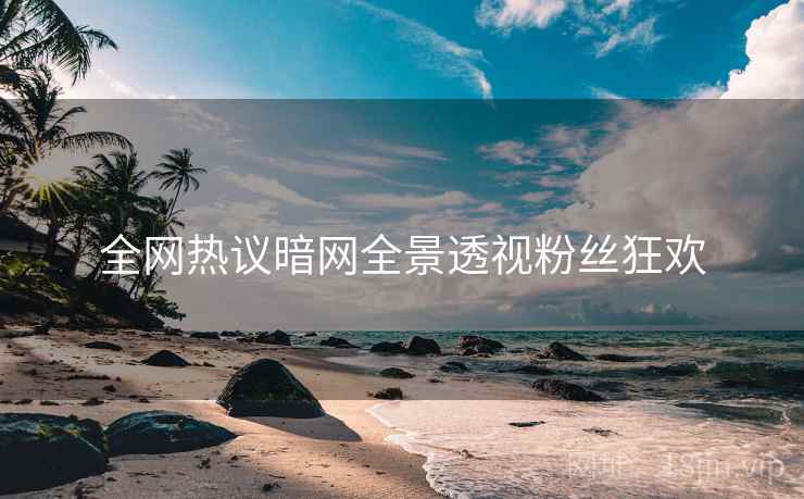 全网热议暗网全景透视粉丝狂欢