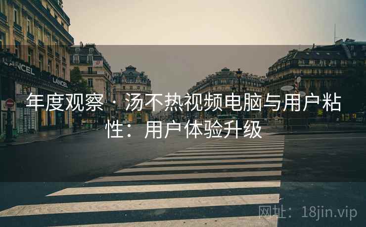 年度观察 · 汤不热视频电脑与用户粘性：用户体验升级