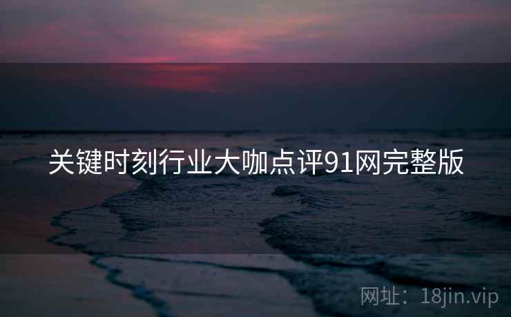 关键时刻行业大咖点评91网完整版