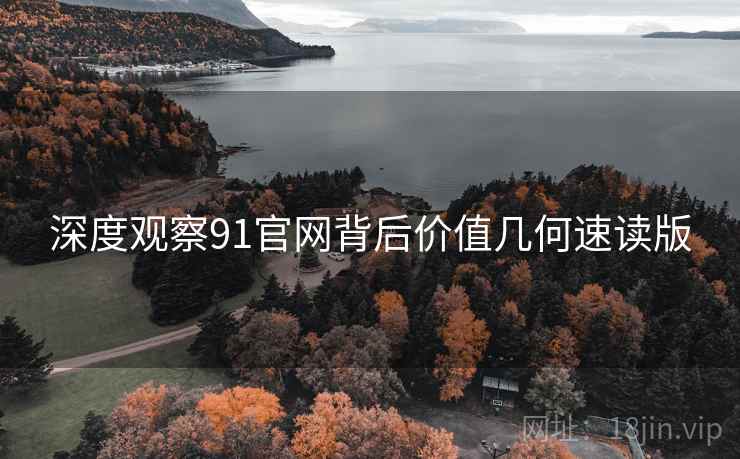 深度观察91官网背后价值几何速读版