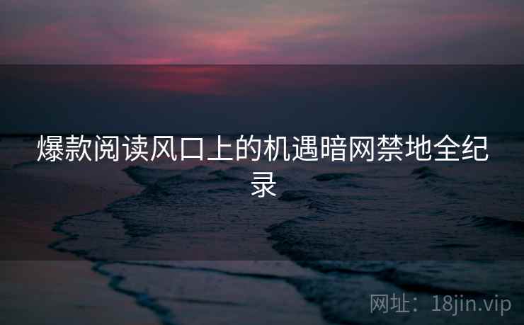 爆款阅读风口上的机遇暗网禁地全纪录