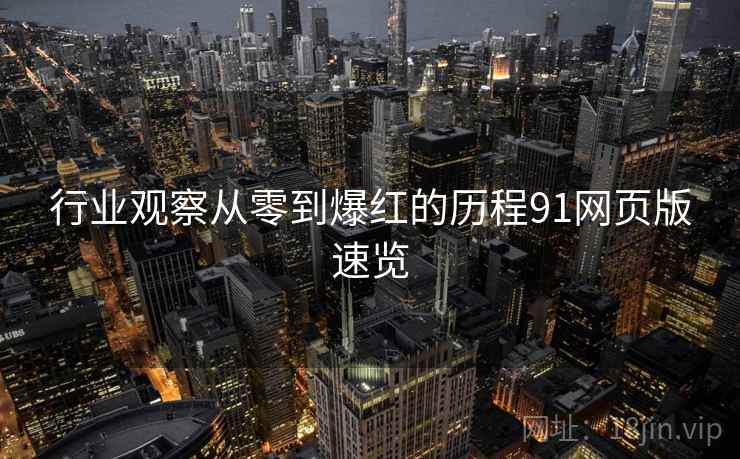 行业观察从零到爆红的历程91网页版速览