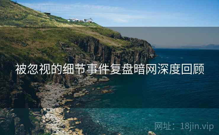被忽视的细节事件复盘暗网深度回顾  第2张