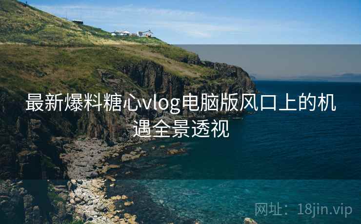 最新爆料糖心vlog电脑版风口上的机遇全景透视  第1张