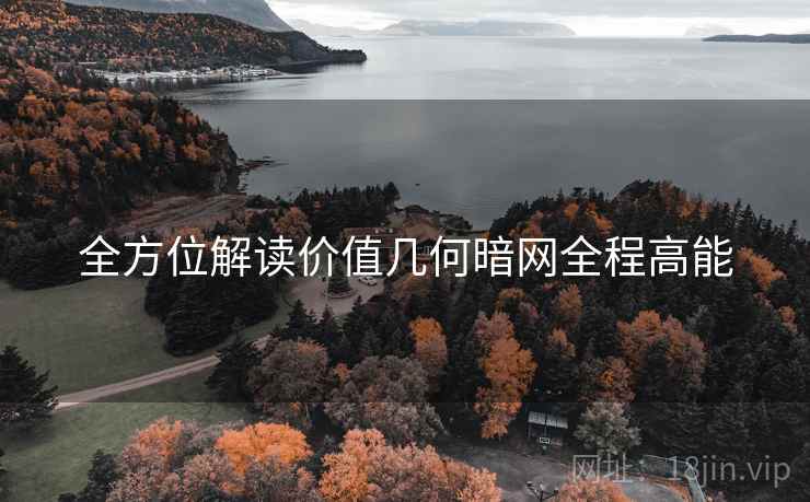 全方位解读价值几何暗网全程高能  第2张